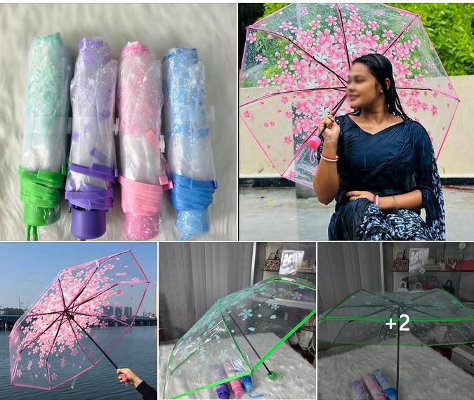 Transparent Floral Umbrella